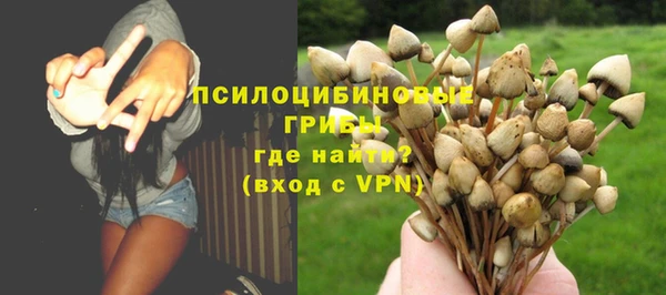 хмурый Абаза