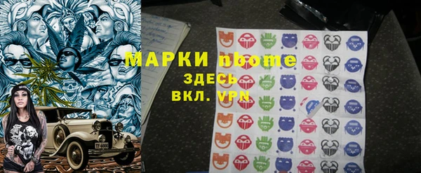 хмурый Абаза