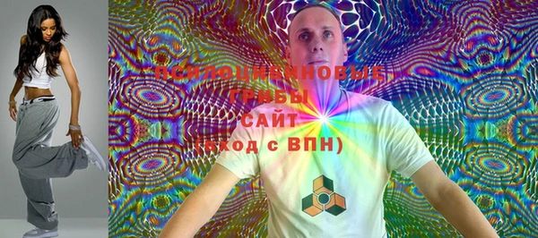 хмурый Абаза